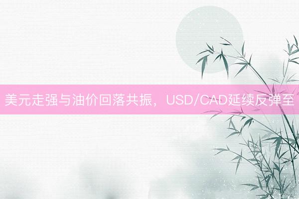 美元走强与油价回落共振，USD/CAD延续反弹至