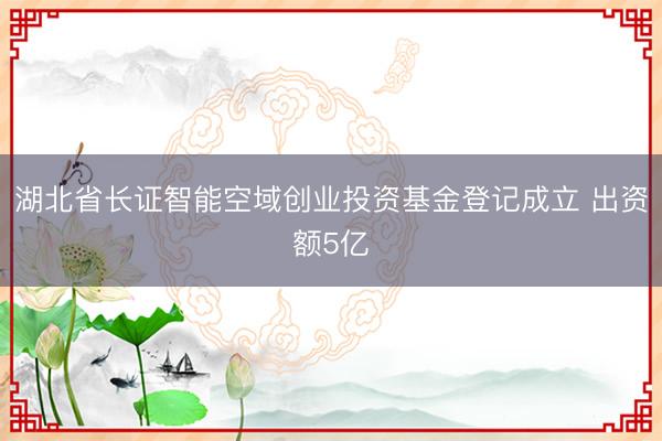 湖北省长证智能空域创业投资基金登记成立 出资额5亿