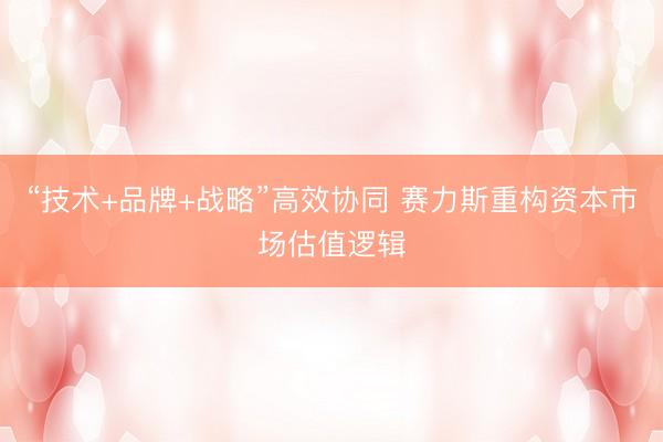 “技术+品牌+战略”高效协同 赛力斯重构资本市场估值逻辑