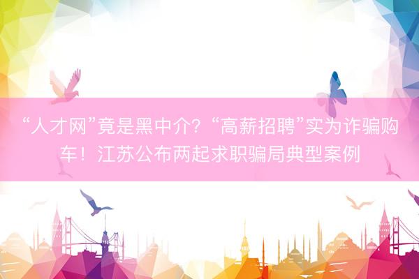 “人才网”竟是黑中介？“高薪招聘”实为诈骗购车！江苏公布两起求职骗局典型案例