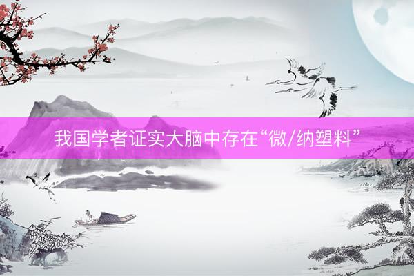 我国学者证实大脑中存在“微/纳塑料”