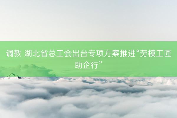 调教 湖北省总工会出台专项方案推进“劳模工匠助企行”
