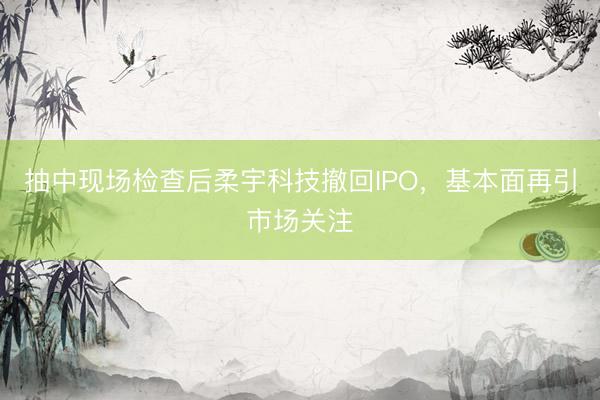 抽中现场检查后柔宇科技撤回IPO，基本面再引市场关注