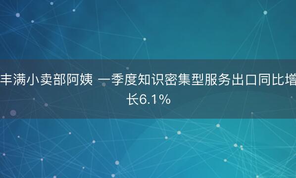 丰满小卖部阿姨 一季度知识密集型服务出口同比增长6.1%