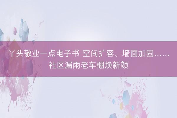 丫头敬业一点电子书 空间扩容、墙面加固……社区漏雨老车棚焕新颜