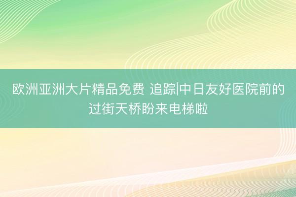 欧洲亚洲大片精品免费 追踪|中日友好医院前的过街天桥盼来电梯啦
