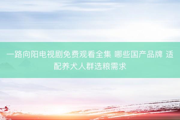 一路向阳电视剧免费观看全集 哪些国产品牌 适配养犬人群选粮需求