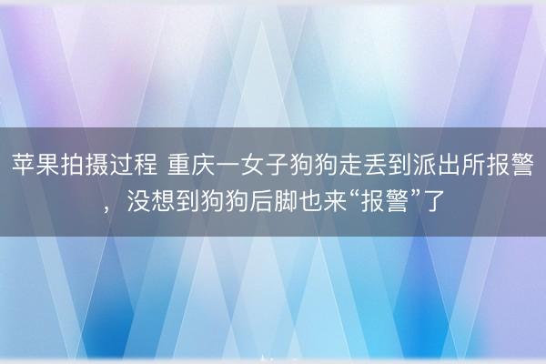 苹果拍摄过程 重庆一女子狗狗走丢到派出所报警，没想到狗狗后脚也来“报警”了