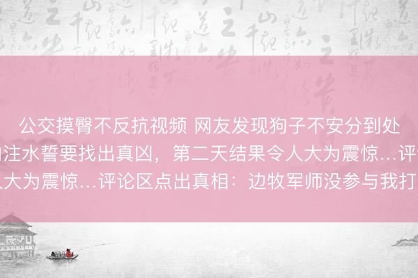 公交摸臀不反抗视频 网友发现狗子不安分到处挖洞，气得直接往洞内注水誓要找出真凶，第二天结果令人大为震惊…评论区点出真相：边牧军师没参与我打死都不信…