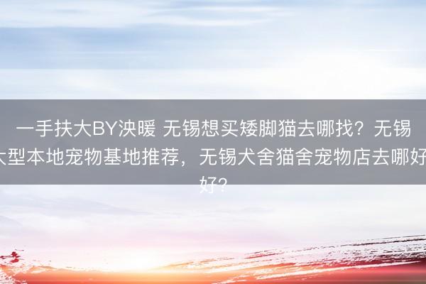 一手扶大BY泱暖 无锡想买矮脚猫去哪找?无锡大型本地宠物基地推荐,无锡犬舍猫舍宠物店去哪好?