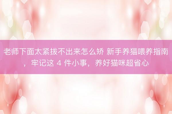 老师下面太紧拔不出来怎么矫 新手养猫喂养指南，牢记这 4 件小事，养好猫咪超省心