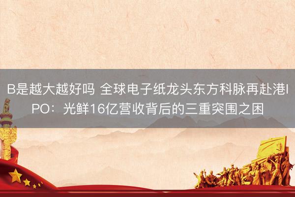 B是越大越好吗 全球电子纸龙头东方科脉再赴港IPO：光鲜16亿营收背后的三重突围之困