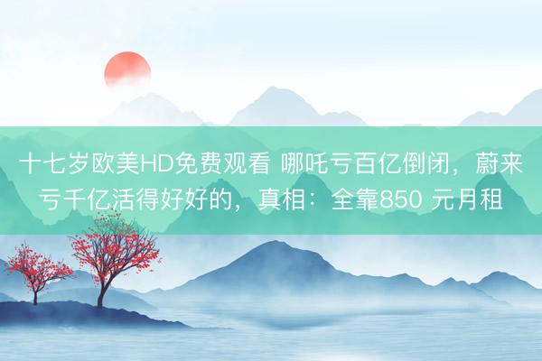 十七岁欧美HD免费观看 哪吒亏百亿倒闭，蔚来亏千亿活得好好的，真相：全靠850 元月租