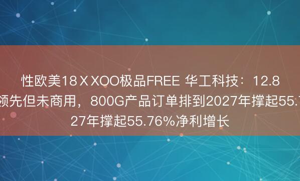 性欧美18ⅩXOO极品FREE 华工科技：12.8T光模块技术领先但未商用，800G产品订单排到2027年撑起55.76%净利增长