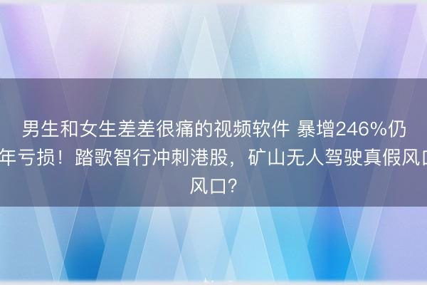 男生和女生差差很痛的视频软件 暴增246%仍连年亏损！踏歌智行冲刺港股，矿山无人驾驶真假风口？