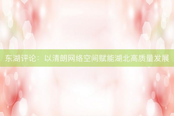 东湖评论：以清朗网络空间赋能湖北高质量发展