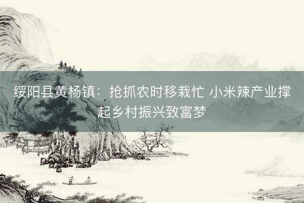 绥阳县黄杨镇：抢抓农时移栽忙 小米辣产业撑起乡村振兴致富梦