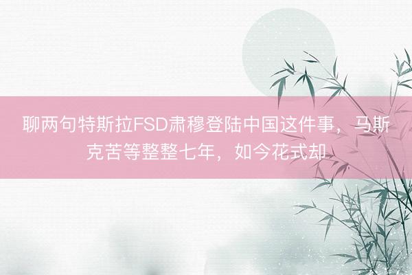 聊两句特斯拉FSD肃穆登陆中国这件事，马斯克苦等整整七年，如今花式却