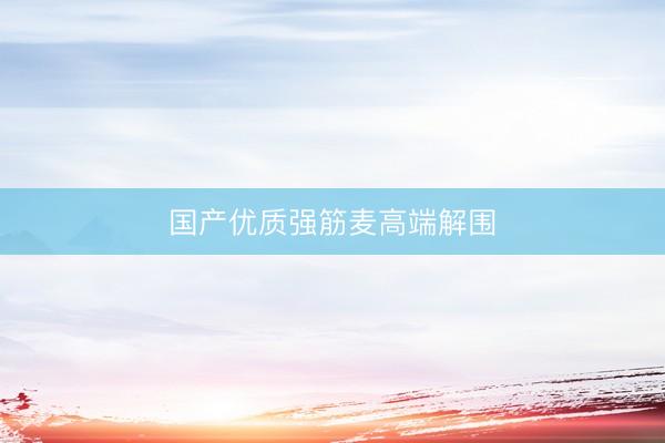 国产优质强筋麦高端解围