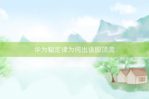 华为韬定律为何出谈即顶流