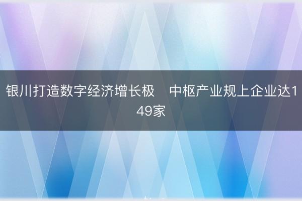 银川打造数字经济增长极 中枢产业规上企业达149家