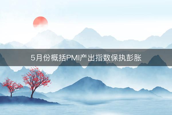 5月份概括PMI产出指数保执彭胀