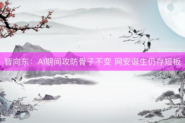 皆向东：AI期间攻防骨子不变 网安诞生仍存短板