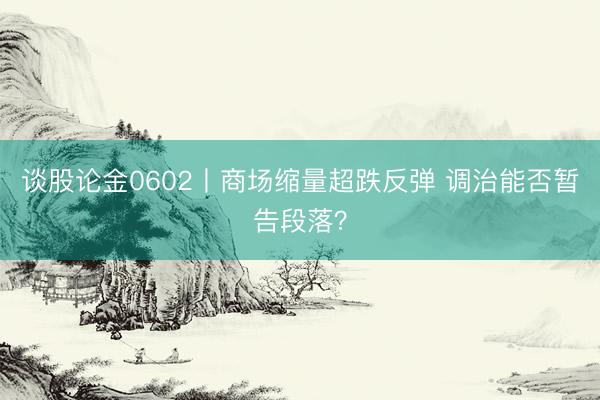 谈股论金0602丨商场缩量超跌反弹 调治能否暂告段落？