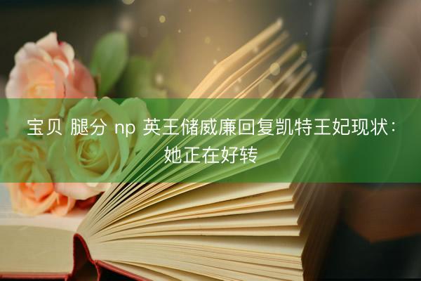 宝贝 腿分 np 英王储威廉回复凯特王妃现状：她正在好转