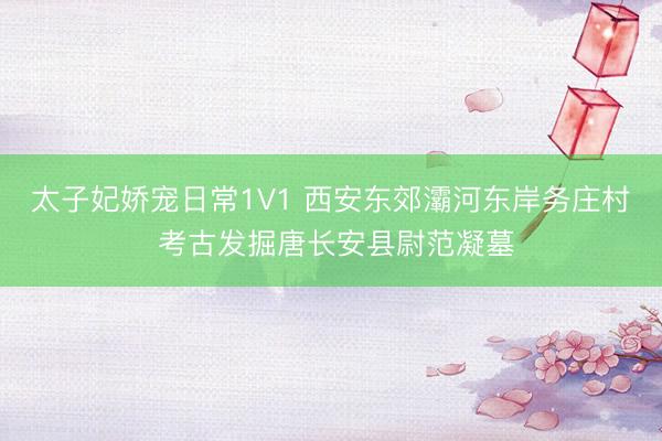 太子妃娇宠日常1V1 西安东郊灞河东岸务庄村 考古发掘唐长安县尉范凝墓