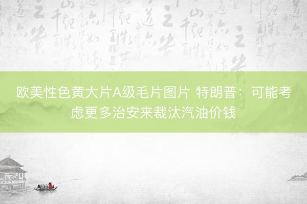 欧美性色黄大片A级毛片图片 特朗普：可能考虑更多治安来裁汰汽油价钱