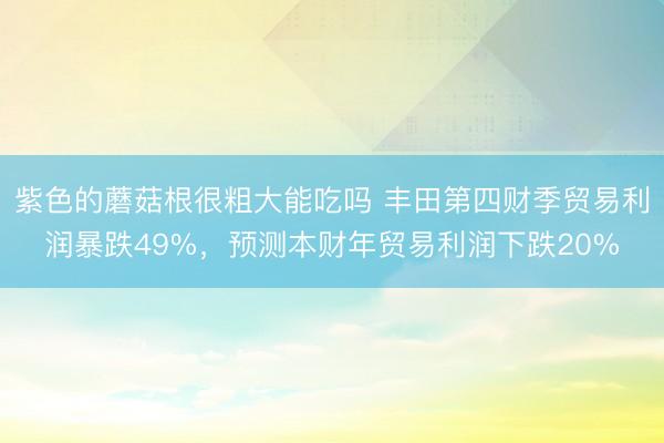 紫色的蘑菇根很粗大能吃吗 丰田第四财季贸易利润暴跌49%，预测本财年贸易利润下跌20%