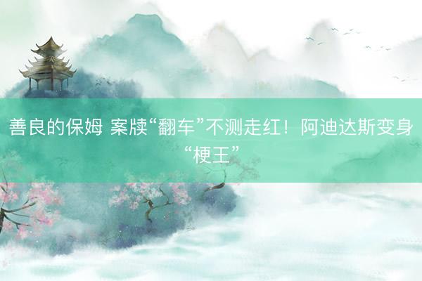 善良的保姆 案牍“翻车”不测走红！阿迪达斯变身“梗王”