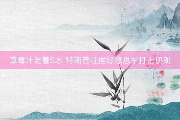 草莓汁混着S水 特朗普证据好意思军打击伊朗
