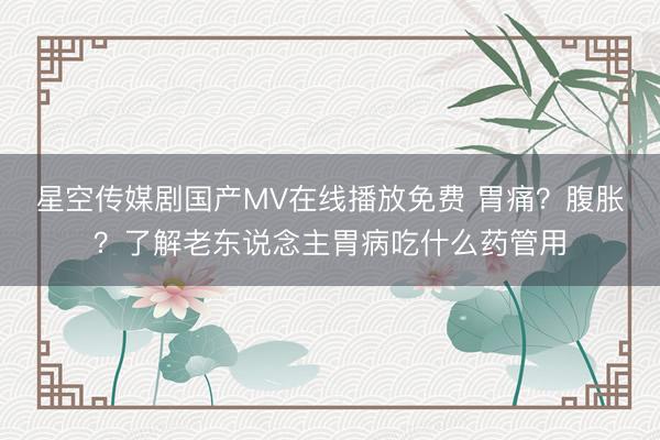 星空传媒剧国产MV在线播放免费 胃痛？腹胀？了解老东说念主胃病吃什么药管用