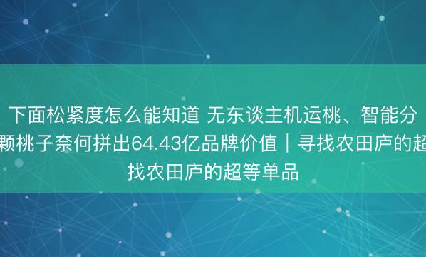 下面松紧度怎么能知道 无东谈主机运桃、智能分拣！一颗桃子奈何拼出64.43亿品牌价值｜寻找农田庐的超等单品