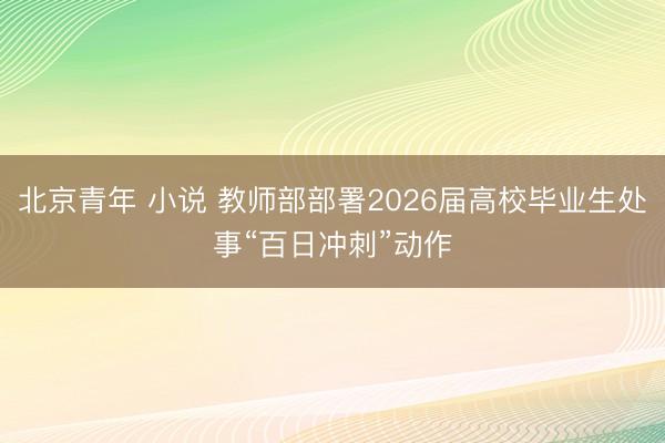 北京青年 小说 教师部部署2026届高校毕业生处事“百日冲刺”动作