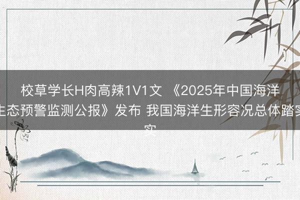 校草学长H肉高辣1V1文 《2025年中国海洋生态预警监测公报》发布 我国海洋生形容况总体踏实