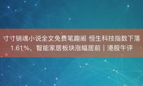 寸寸销魂小说全文免费笔趣阁 恒生科技指数下落1.61%，智能家居板块涨幅居前｜港股午评