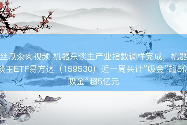 丝瓜汆肉视频 机器东谈主产业指数调样完成，机器东谈主ETF易方达（159530）近一周共计“吸金”超5亿元