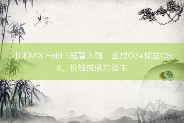 小米MIX Fold 5短暂入彀：玄戒O3+倾盆OS4，价钱或感东谈主
