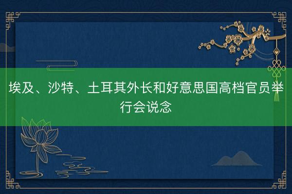 埃及、沙特、土耳其外长和好意思国高档官员举行会说念