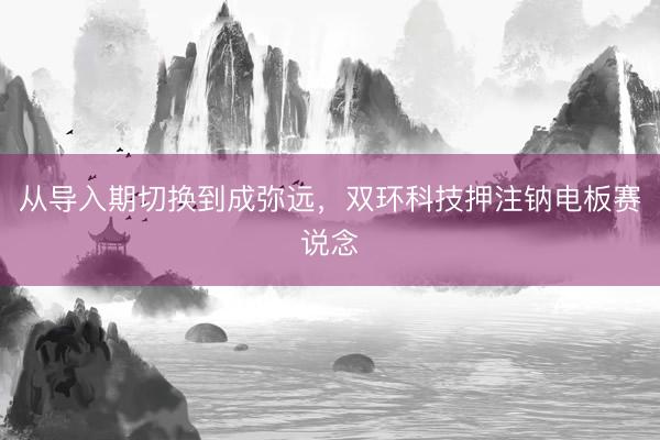 从导入期切换到成弥远，双环科技押注钠电板赛说念