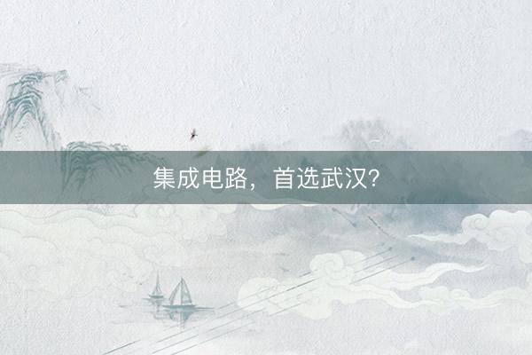 集成电路，首选武汉？